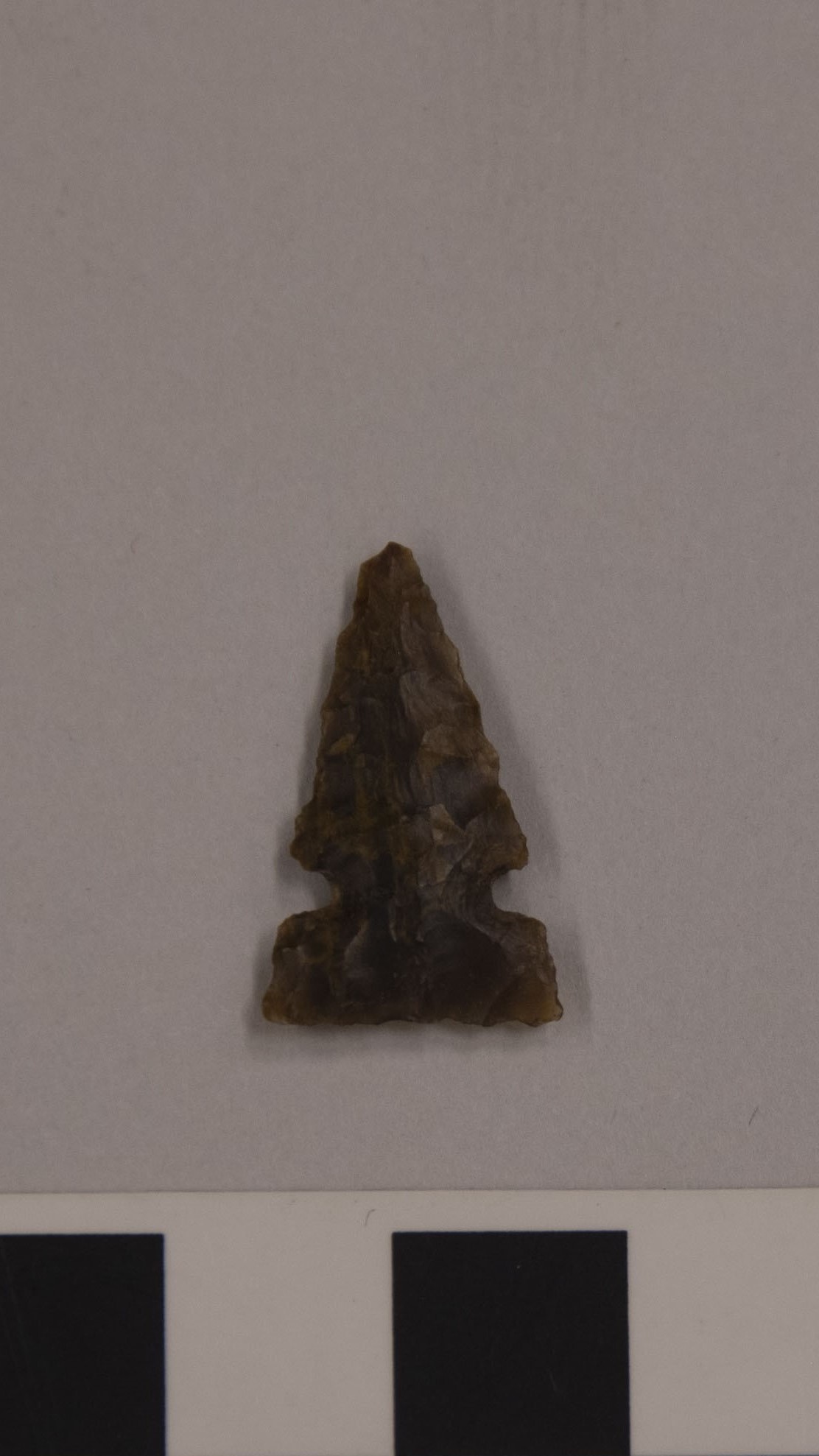 projectile point