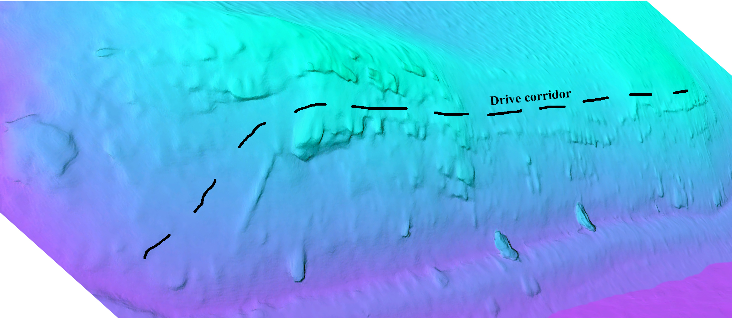 Bison Drive Site, 3D image